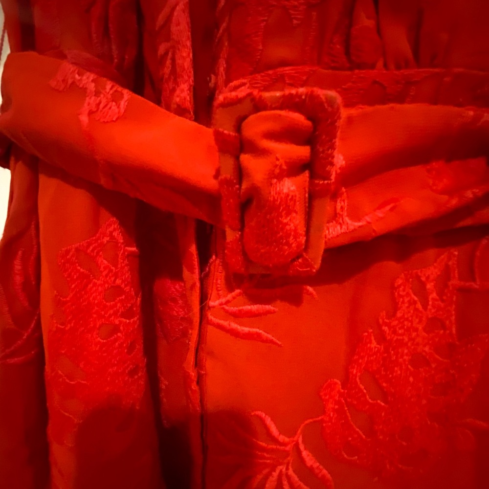 Never Worn Red Anthropologie Mini Dress - Picture 2 of 4